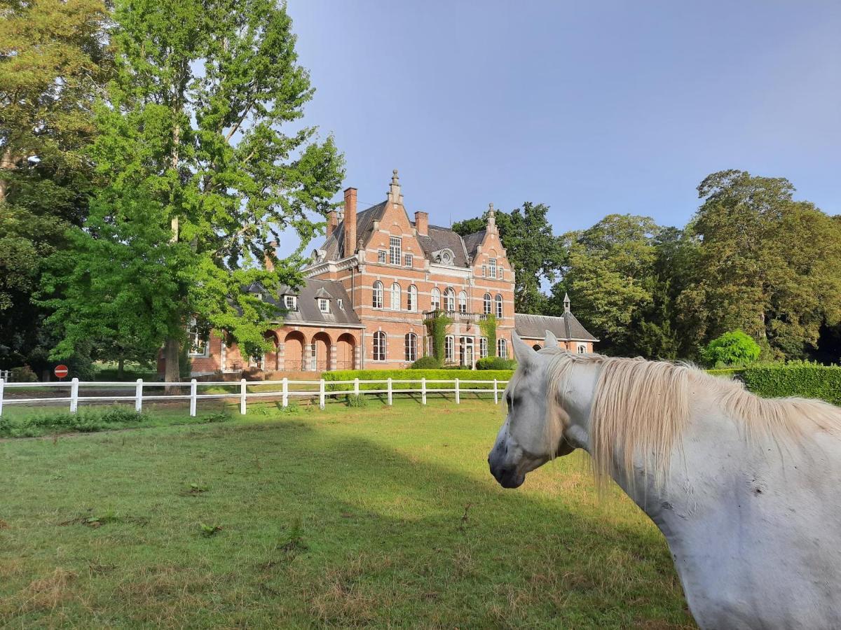 B&B Chateau De Ramegnies-Chin トゥルネー エクステリア 写真